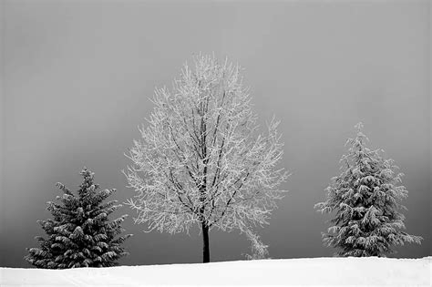 rule of odds in photography|Rule of Odds: What Is It, and How Can It Enhance Your .